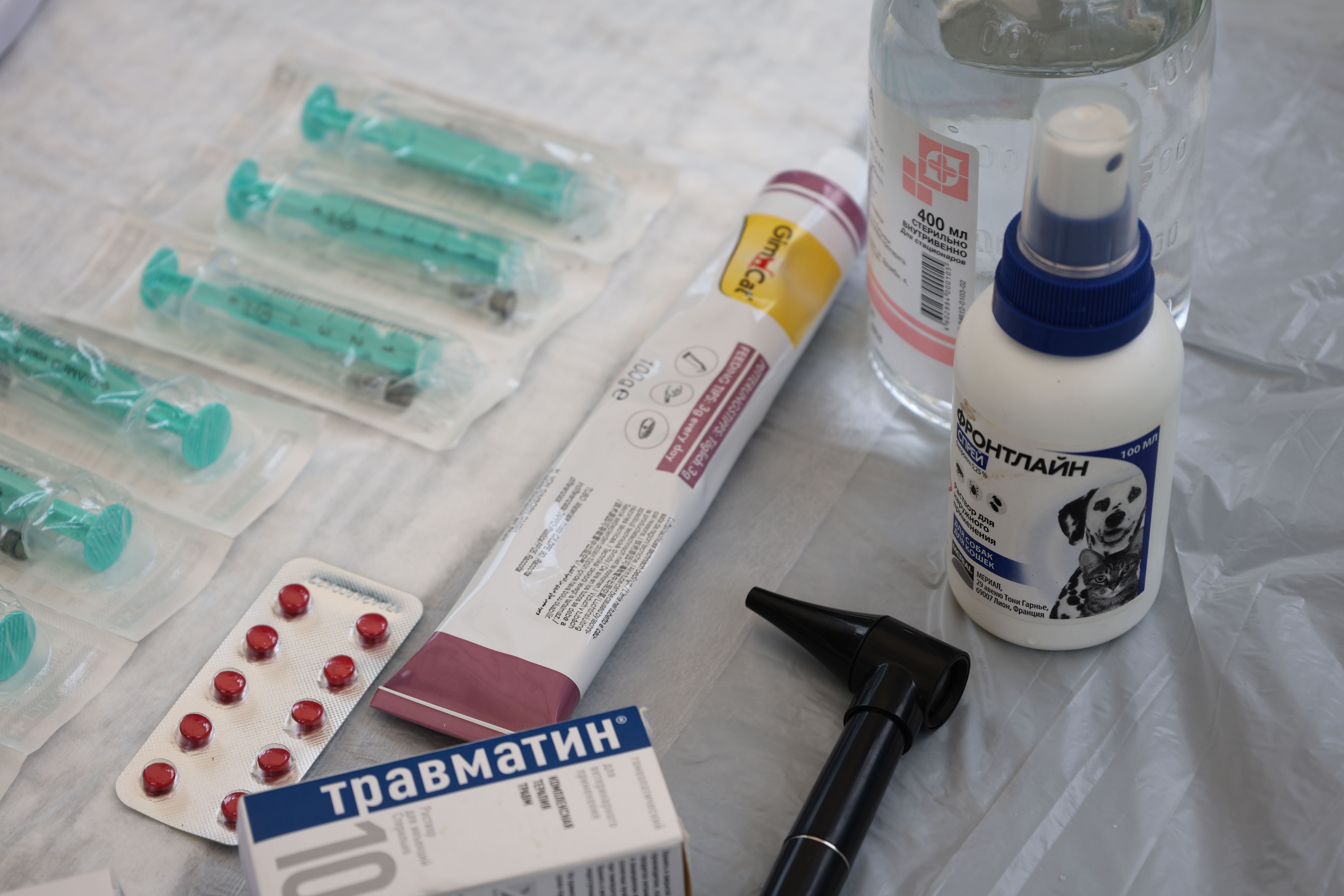 Frascos y medicamentos de una farmacia veterinaria organizados en una mesa de trabajo.